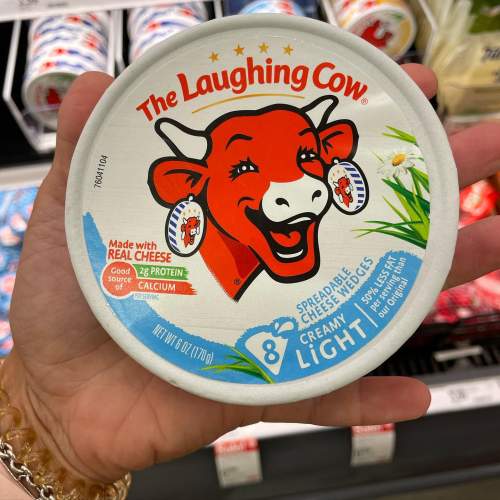 The Laughing Cow Spreadable Light Swiss Cheese Wedges - 5.4oz/8ct