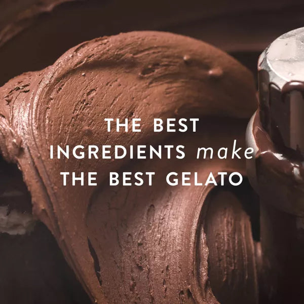Talenti Gelato Layers Vanilla Fudge Cookie - 10.6oz