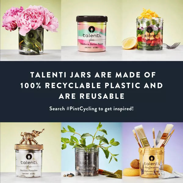 Talenti Peanut Butter Cup Gelato - 16oz