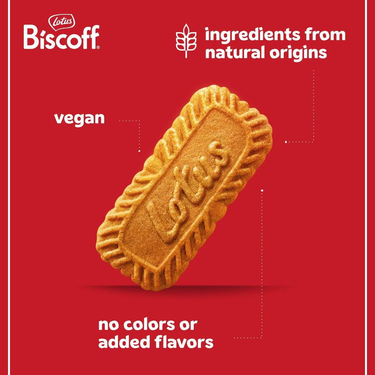 Biscoff Lotus Cookies Airline Size XL - 8.8oz