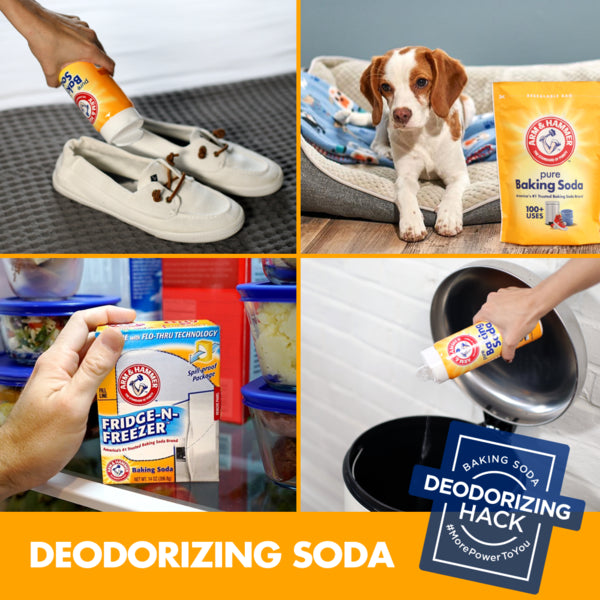 Arm & Hammer Fridge-N-Freezer Baking Soda