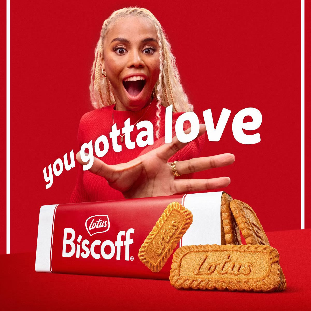 Biscoff Lotus Cookies Airline Size XL - 8.8oz