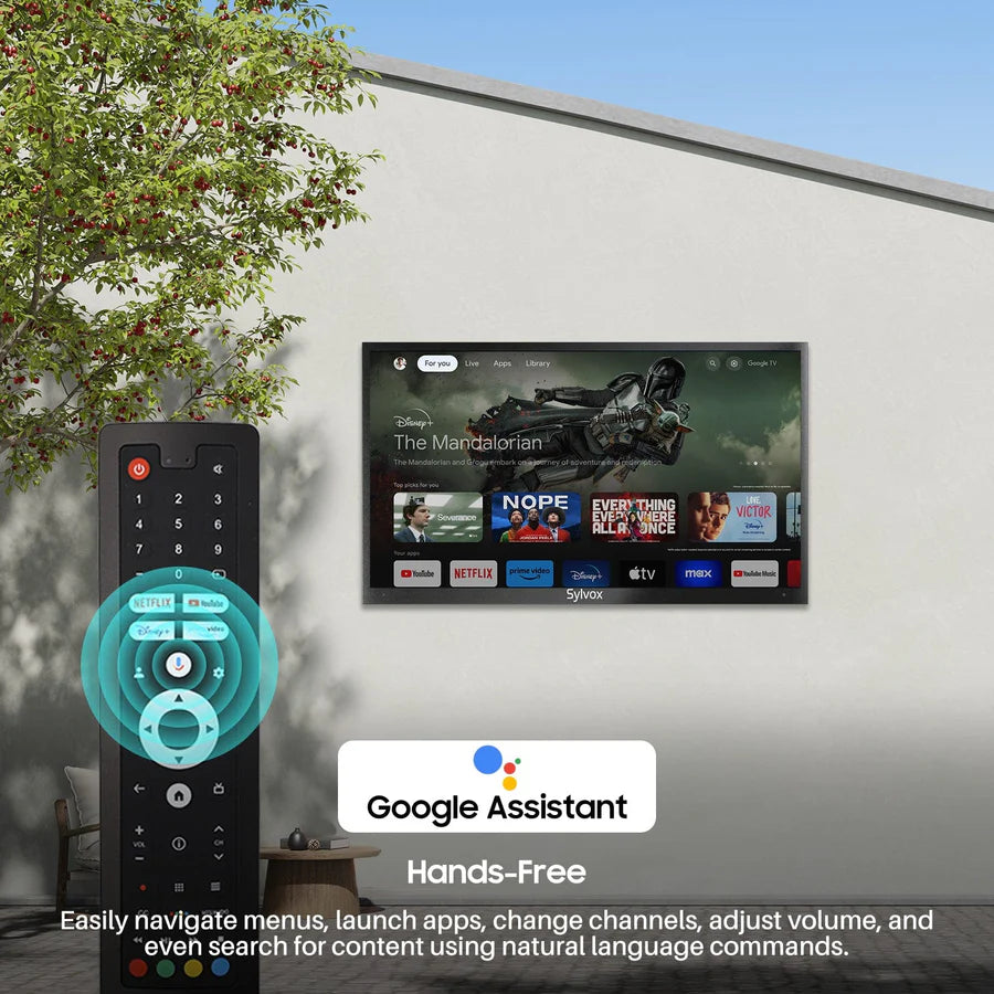 65" Outdoor TV(Google TV) - 2024 Deck Pro 2.0