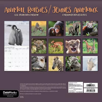 Trends International 2025 Animal Babies Bilingual French Wall Calendar