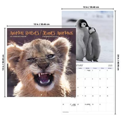 Trends International 2025 Animal Babies Bilingual French Wall Calendar