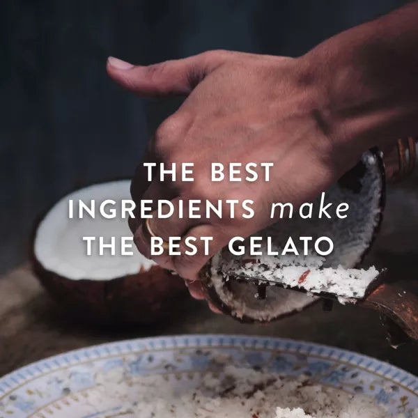 Talenti Caribbean Coconut Gelato - 16oz