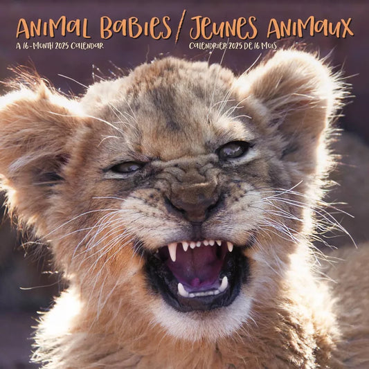 Trends International 2025 Animal Babies Bilingual French Wall Calendar