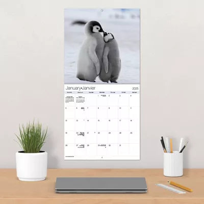 Trends International 2025 Animal Babies Bilingual French Wall Calendar